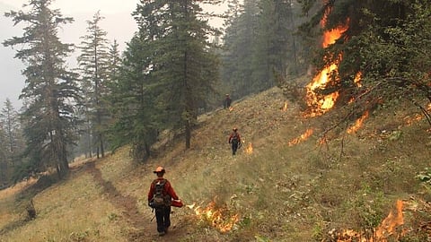 BC Wildfire Service says all wildfires on Vancouver Island this year started by people