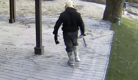 Kelowna man shoots buck with crossbow in residential neighbourhood, fined $7K