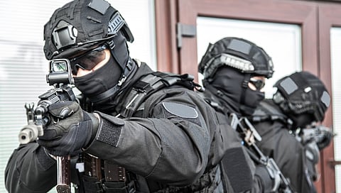 EXCLUSIVE: Alberta government will do 'whatever it takes' to stop Mexican drug cartels