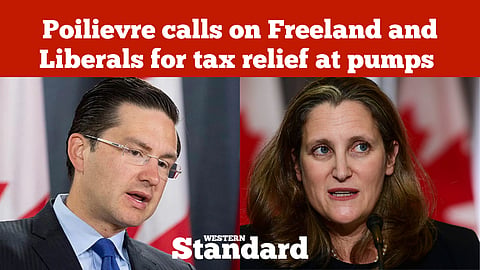 Poilievre calls on Freeland and Liberals for tax relief at pumps