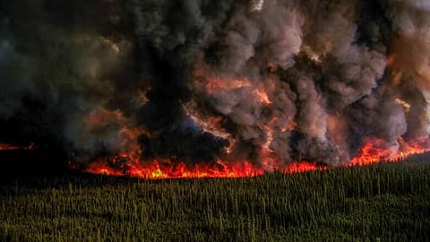 BC communities ordered to evacuate because of wildfires