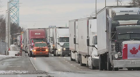 Labour department complained of trucker shortages right before Freedom Convoy