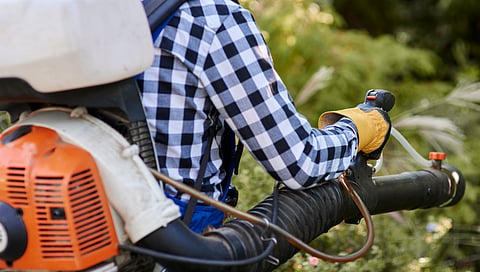 City of Toronto looking to ban lawnmowers, leaf blowers