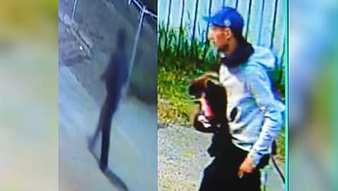 Edmonton police search for arson suspect for multiple fires