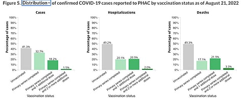 KRAYDEN: Leaked 'Liberal' report on vaccines blows Trudeau's narrative apart