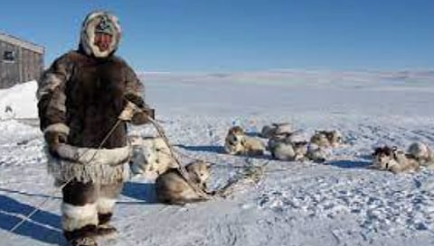 Arctic