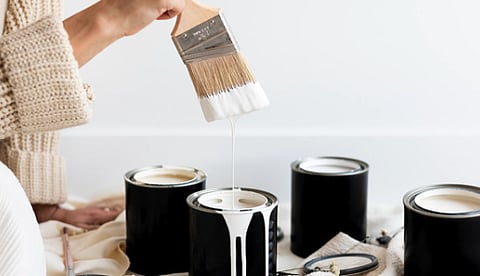PIGMENT PREJUDICE: Norway to spend $1.6 million to find out if white paint is racist