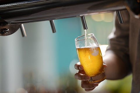 Jeju beer