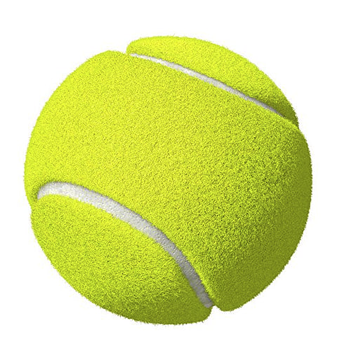 FAULT: Feds spend $10 million on Quebec tennis tourney
