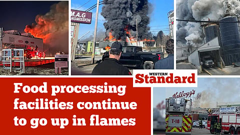 Food processing facilities continue to go up in flames