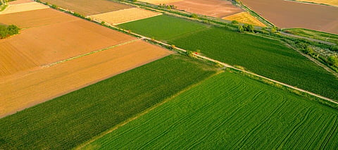 Crops