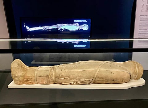 MUMMY-MIA!: British museums ban word mummy for being offensive