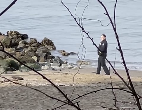 WATCH: Two Vancouver police officers suspended for posing for pics in front of dead body
