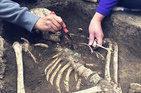 Anthropologists told they must stop assigning sex to human remains in case they misgender them