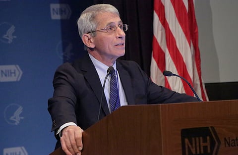 THOMAS: Elon Musk, bring on the Fauci Files