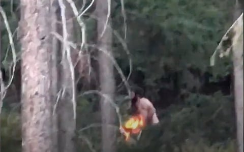 Alleged West Kelowna arsonist taken into custody