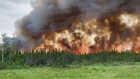Sask forest fires have burned 1.2 million hectares, many human-caused
