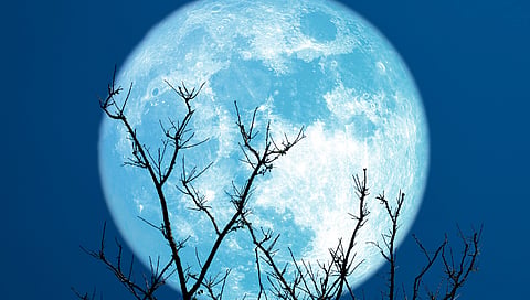 Once in a blue super moon happening on Wednesday night