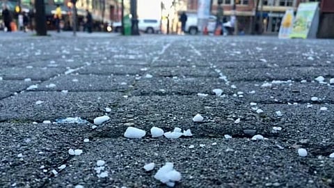 SALT IN THE WOUND: Unseasonably long strike leaves store shelves bare