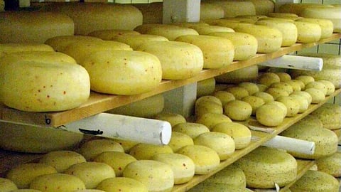 Canadian food company says food-safe microchips will improve traceability