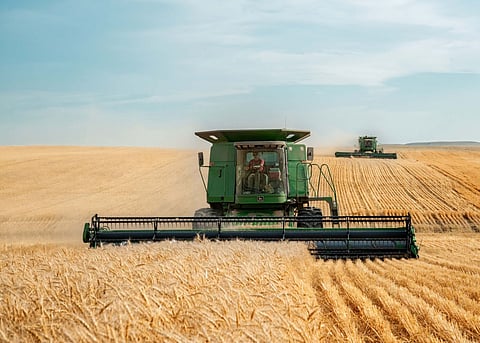There's a lot of carbon in bread to tax. It's killing farmers and making your loaf more expensive