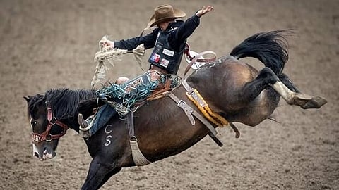 Organizer says Stampede boycott picking up steam