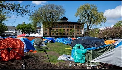 MORGAN: Canada's immigration time bomb is soon to explode