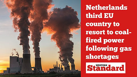 Netherlands third EU country to resort to coal-fired power following gas shortages