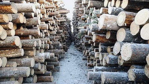 Canfor shutters more BC pulp and paper mills, hundreds of jobs to be lost