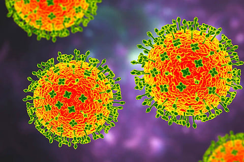 China warns about new virus that has infected 35 people