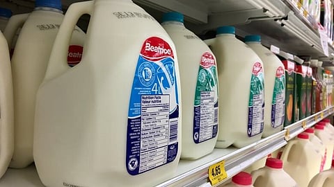 Canada becomes fourth country to approve dairy-free milk protien.