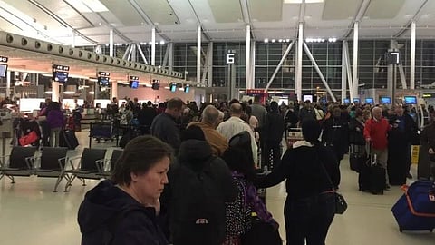 Dog kept with lost luggage at Toronto airport for 21 hours