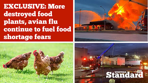 EXCLUSIVE: More destroyed food plants, avian flu continue to fuel food shortage fears