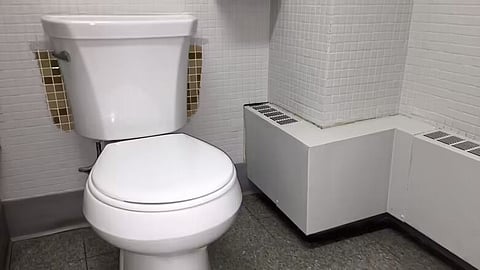 COMMODE CONCIERGES: Calgary pilot targets problematic public potties with $600k program for attendants