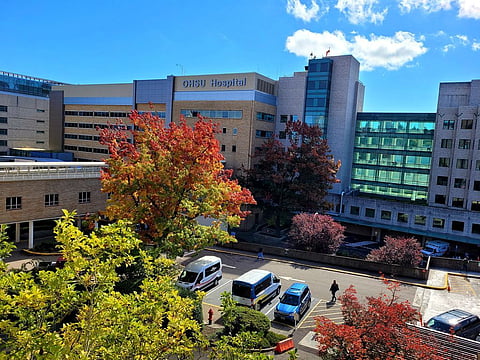Portland woman barred from receiving hospital care for criticizing transgender flag