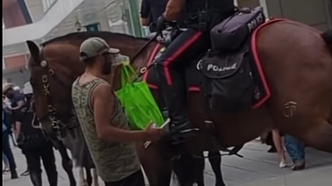 WATCH: Carouser puts 'pee' in Stampede after guzzling a fresh cup of police horse whizz