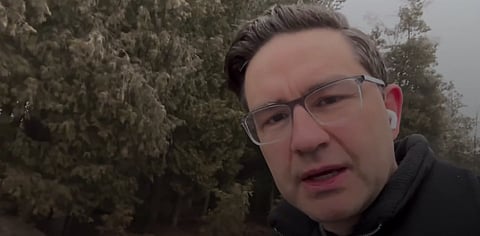 Pierre Poilievre defends Jordan Peterson over mandatory social media retraining