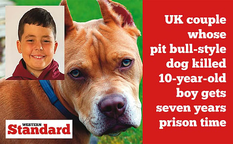 UK couple whose pit bull-style dog killed 10-year-old boy gets seven years prison time