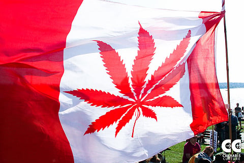 JOHNSTON: Reefer Madness and the undoing of Andrew Scheer