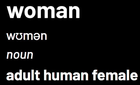 Radical feminist group tells Saskatoon to keep women-only spaces