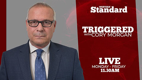 Triggered: The establishment is crumbling and panicked
