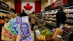 Think tank warns Ottawa's canned vegetable tariffs will drive up food costs